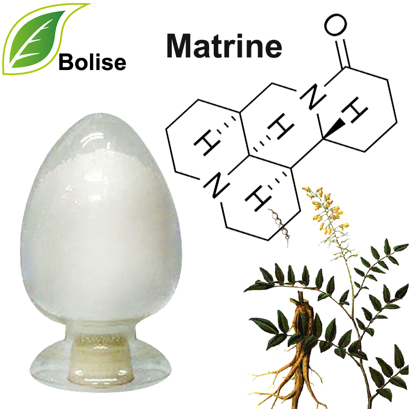 Matrine (عصاره ریشه Lighiyellow Sophora)