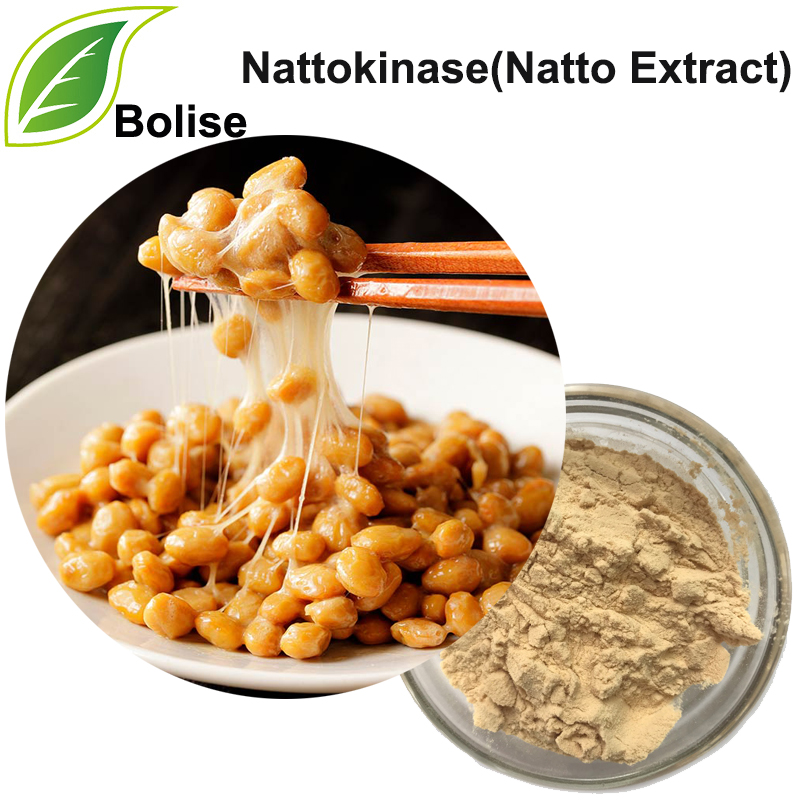 Nattokinase (Sliocht Natto)