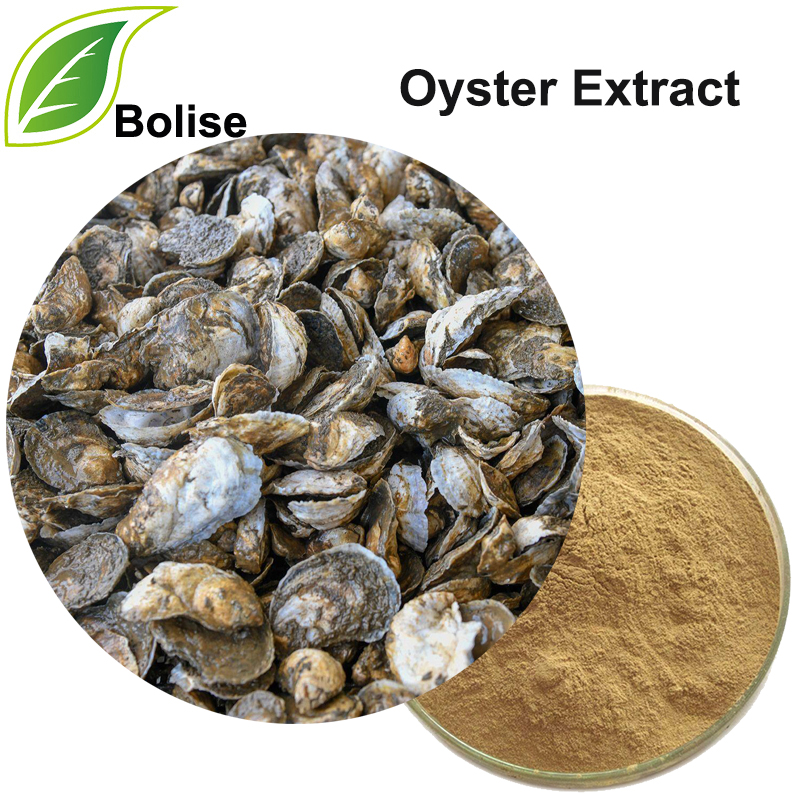 Oyster Extract