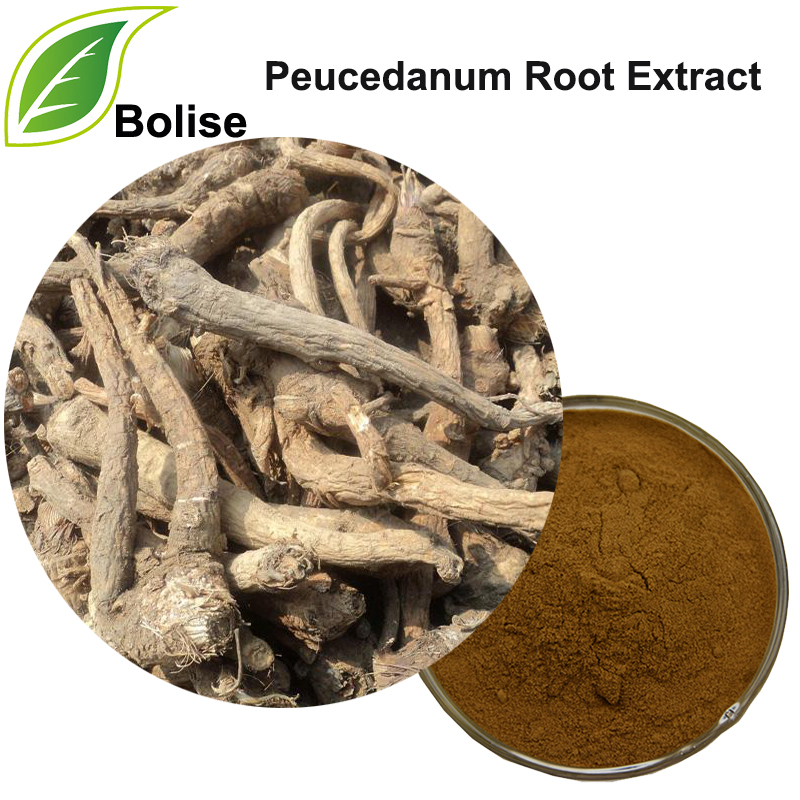Extract de rădăcină HogfenneI (extract de rădăcină de Peucedanum)