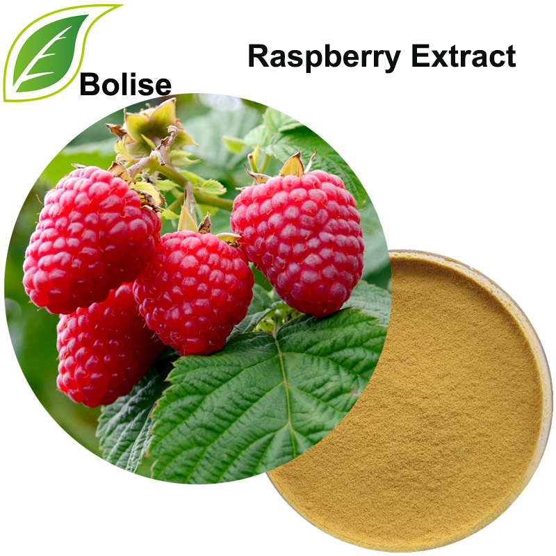 라즈베리 추출물 (Fructus Rubi Extract)