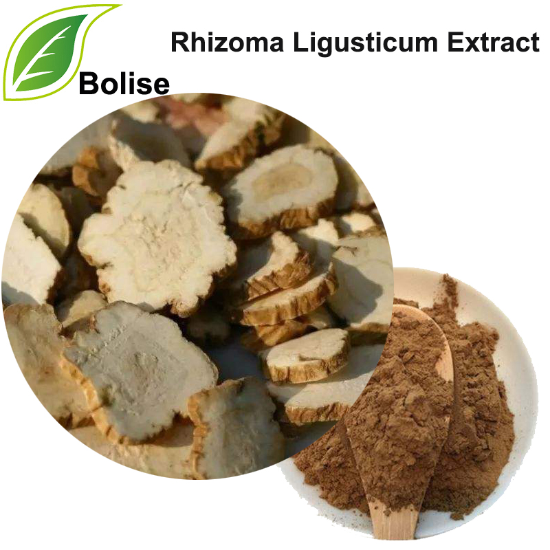 Extracto de Rhizoma Ligusticum (Extracto de Rhizoma Chuanxiong)