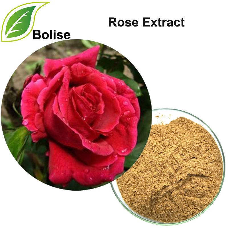 Ekstrakt ruže (ekstrakt ruže rugoze)