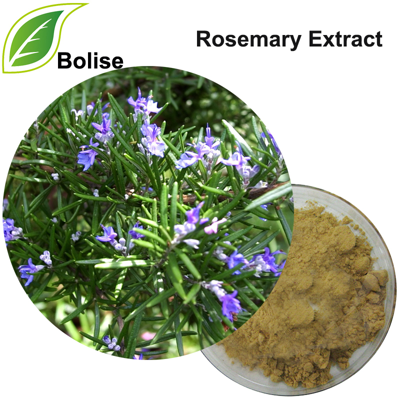 Detholiad Rosemary