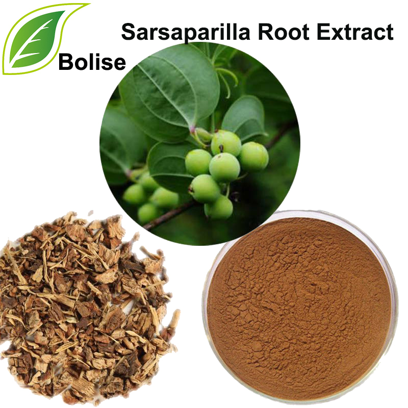 Sarsaparilla rotextrakt