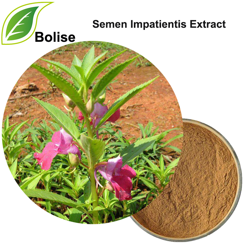 Ekstrakt sjemena vrtnog balzama (ekstrakt sjemena Impatientis)