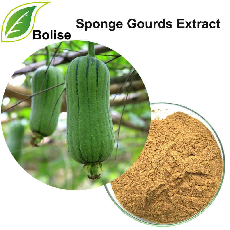 Sponge Gourds Extract(Towel Gourd Extract)