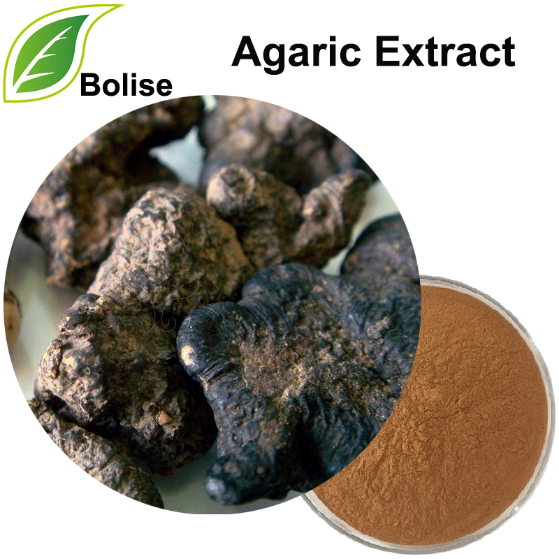 Extrakt z agaru (Polyporus Extract)