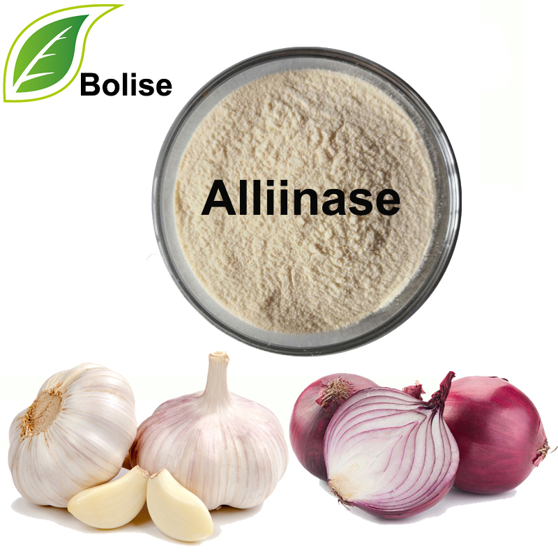 Alliinase