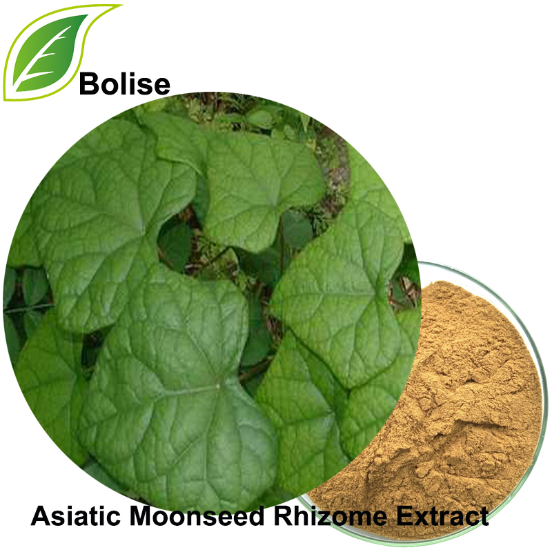 Asiatic Moonseed Rhizome Extract (Rhizoma Menispermi Extract)