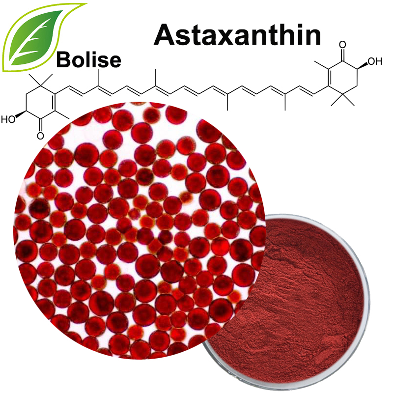 प्राकृतिक Astaxanthin