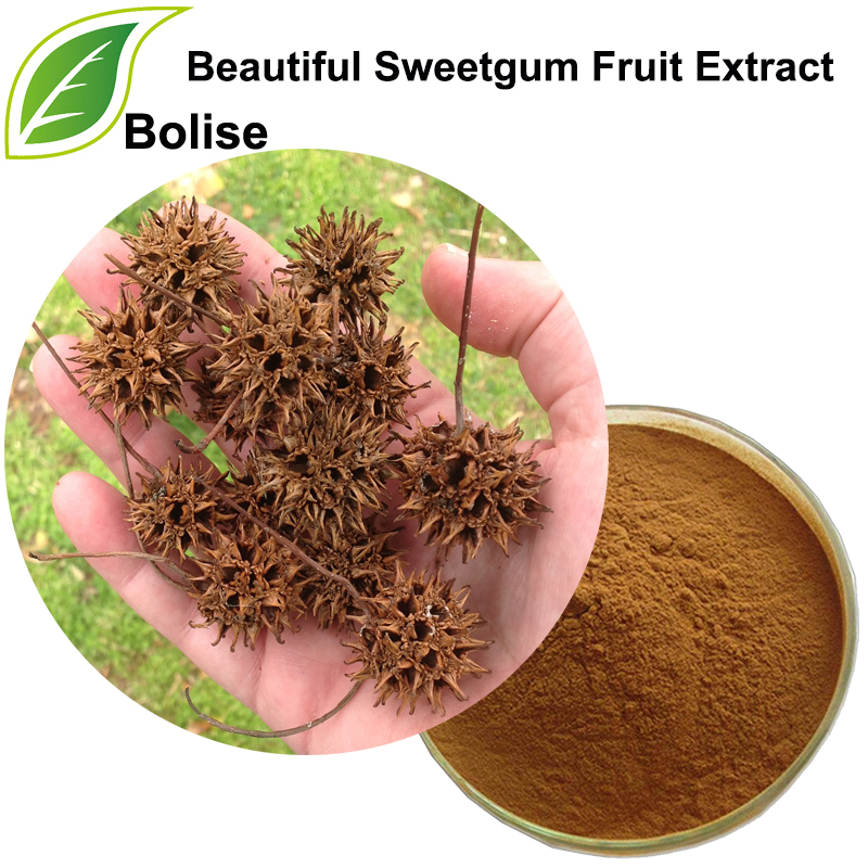 عصاره میوه ای زیبا Sweetgum