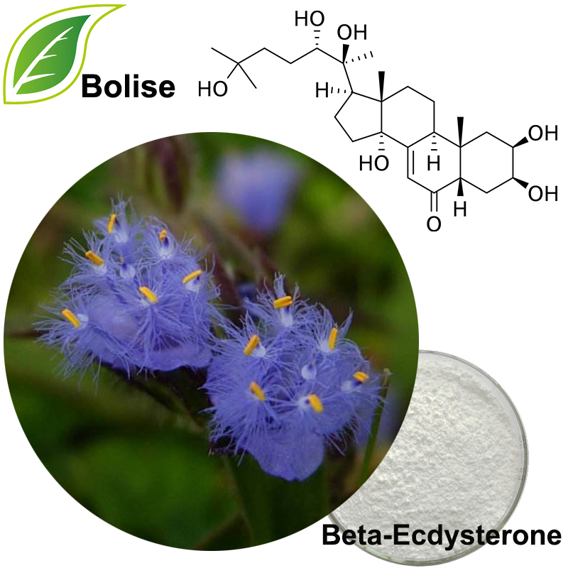 Beta-Ecdysterone (20-Hydroxyecdyson)