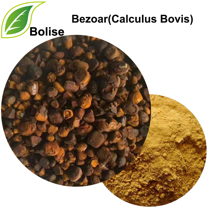 Bezoar(Calculus Bovis)