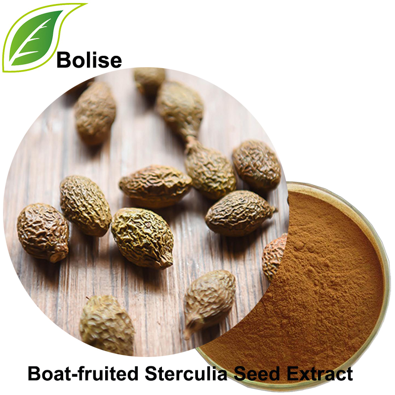 Boat-fruited Sterculia Seed Extract Boat-fruited Sterculia Seed Extract