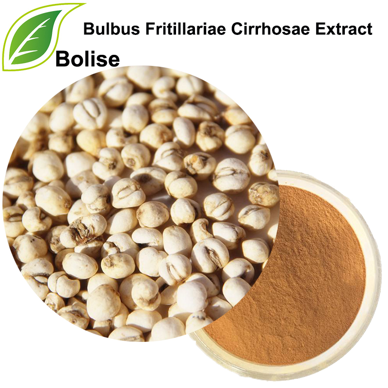 Bulbus fritillariae cirrhosae extract (Tendrilleaf Fritillary Bulb Extract)