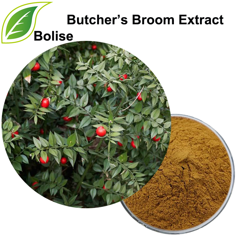 Butcher's Broom Extract