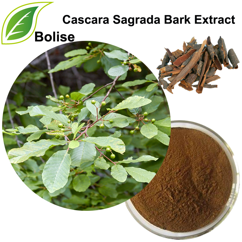 สารสกัดจากเปลือก Cascara Sagrada