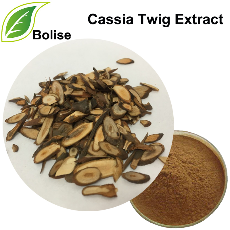 Cassia Twig Extract (Ramulus Cinnamomi Extract)