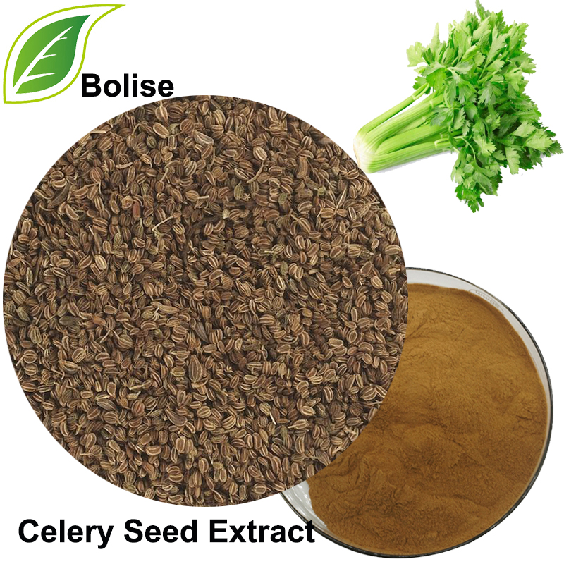 Celery Seed Extract