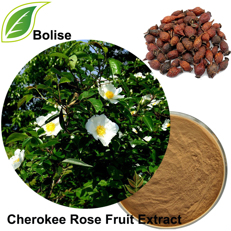 Cherokee rozenfruit-extract
