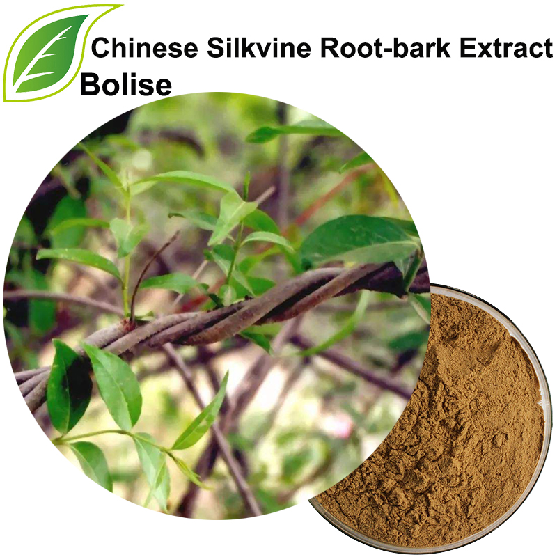 عصاره پوست ریشه Silkvine چینی