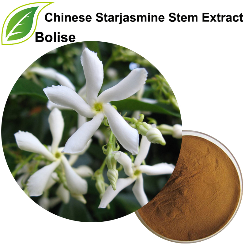 चीनी Starjasmine स्टेम निकालने