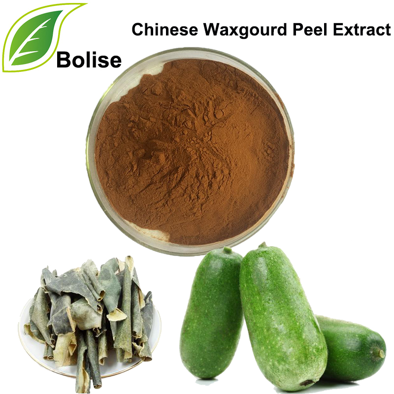 Ekstrak Kulit Waxgourd Cina