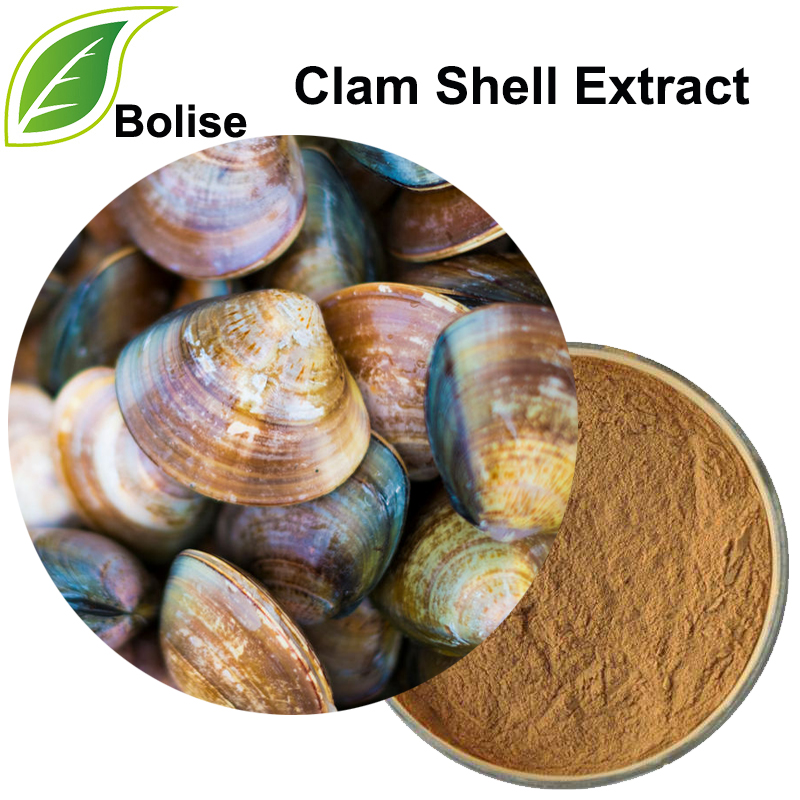 Clam Shell Extrakt