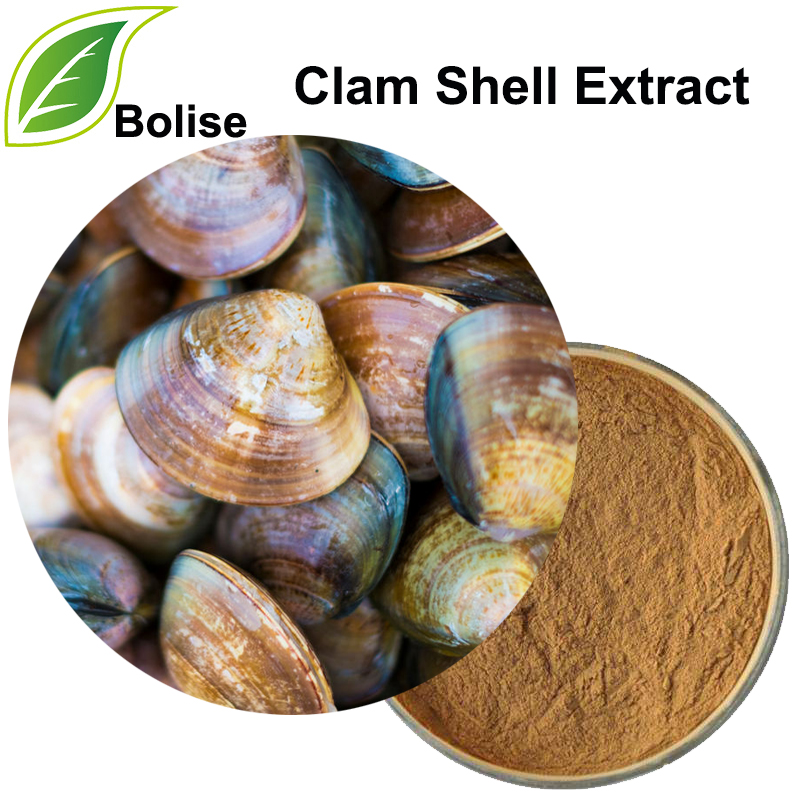 Clam Shell ექსტრაქტი