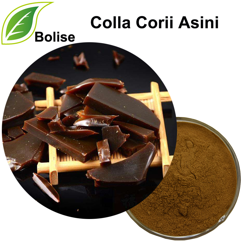 عصاره Colla Corii Asini (چسب مخفی)