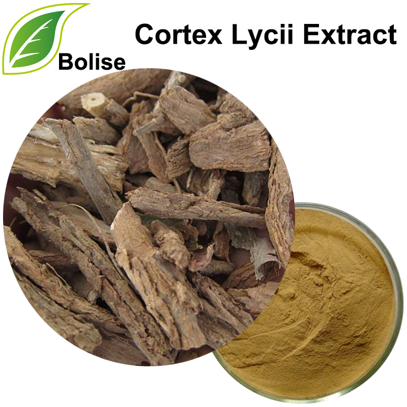 Estratto di corteccia di Wolfberry cinese (estratto di Cortex Lycii)