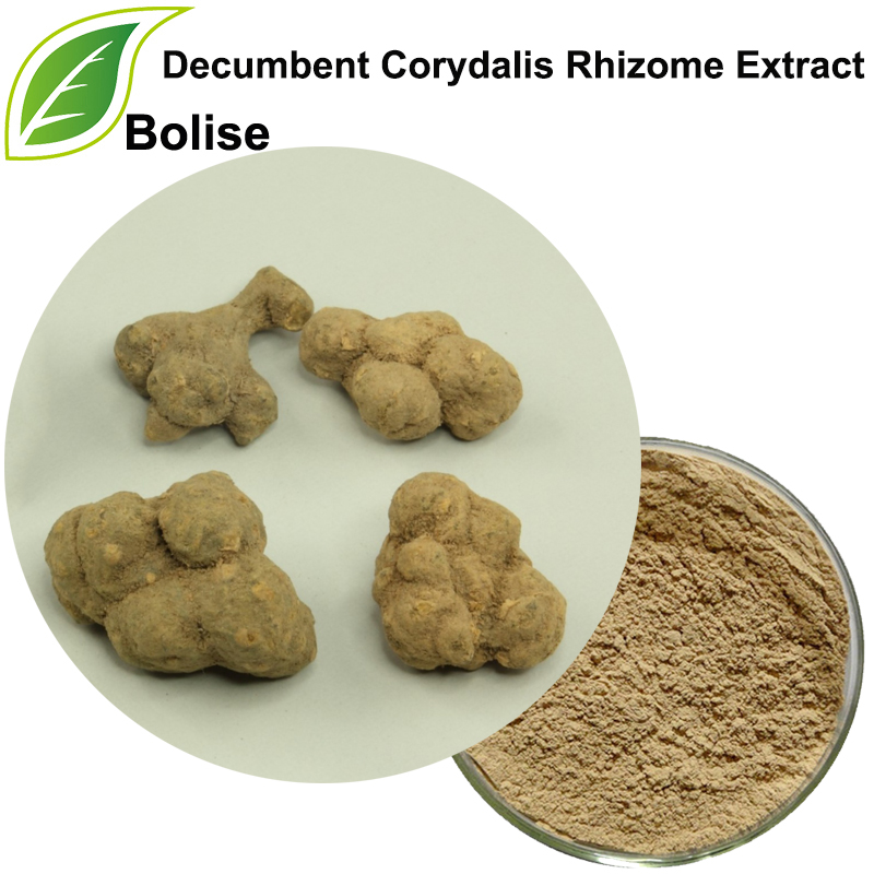 Decumbent na Corydalis Rhizome Extract