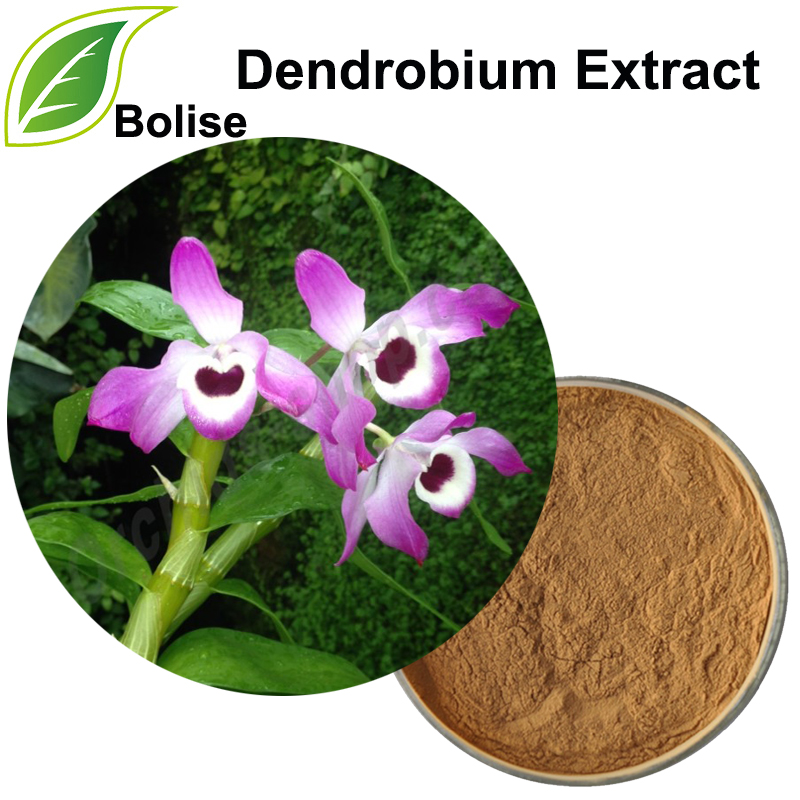 Extracto de Dendrobium (Extracto de Herba Dendrobii)