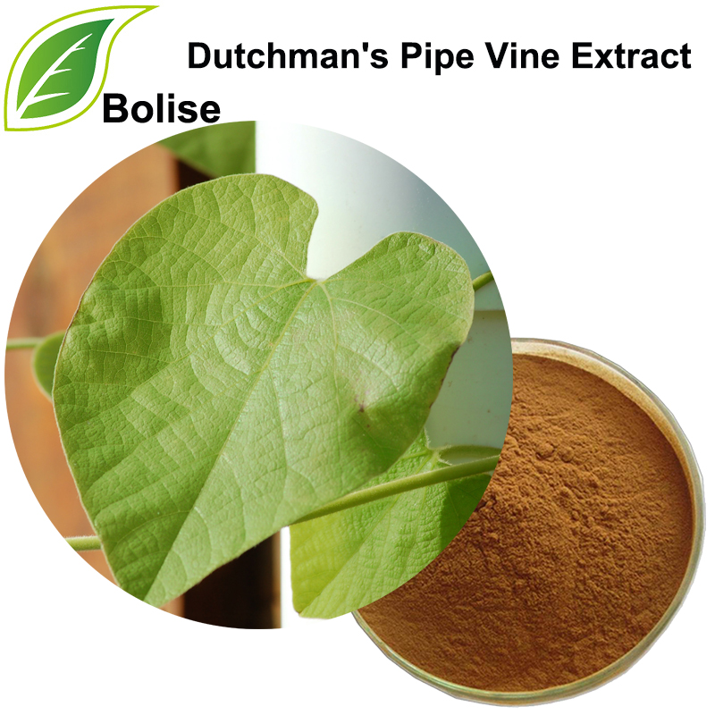 Dutchman's Pipe Vine Extract (Herba Aristolochiae Ekstresi)