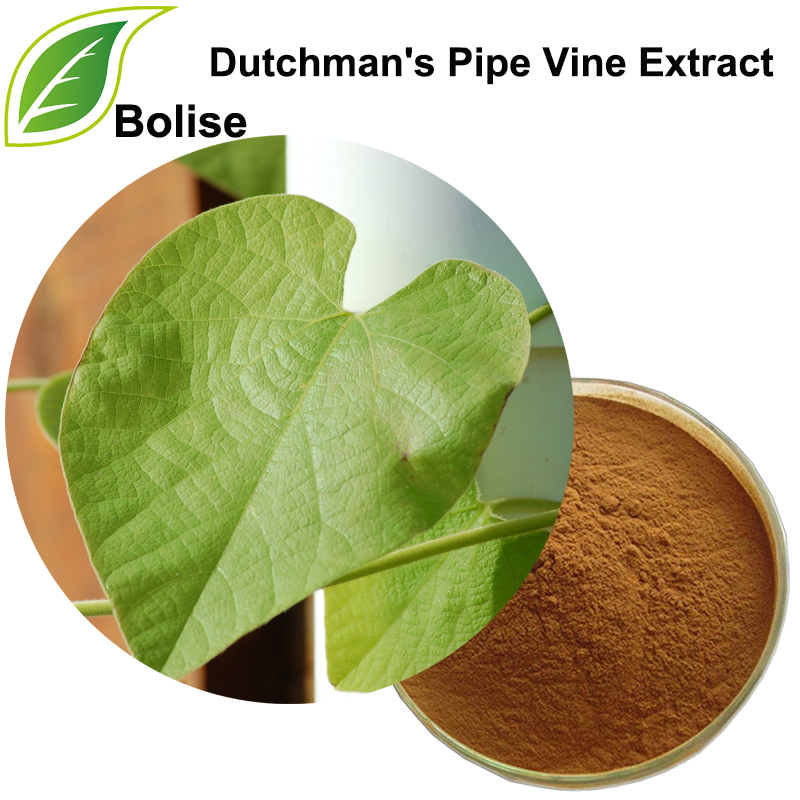 Dutchman's Pipe Vine Extract (Herba Aristolochiae Extrakt)