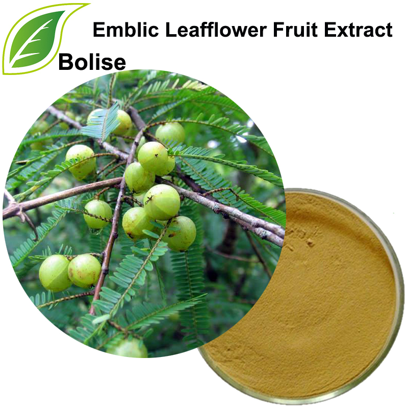 Extracto de froitas de follas Emblic (extracto de Fructus Phyllanthi)