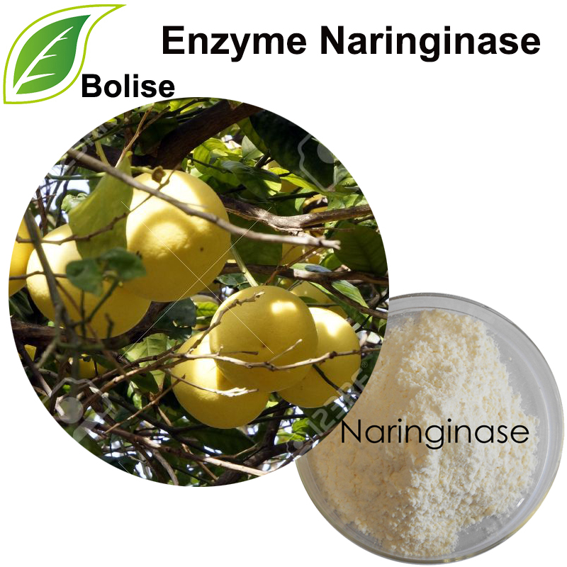 Enzym Naringinase
