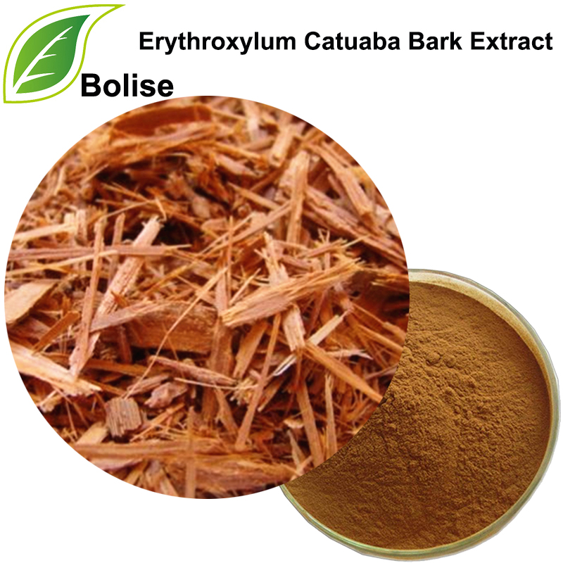 Erythroxylum Catuaba Bark Extract