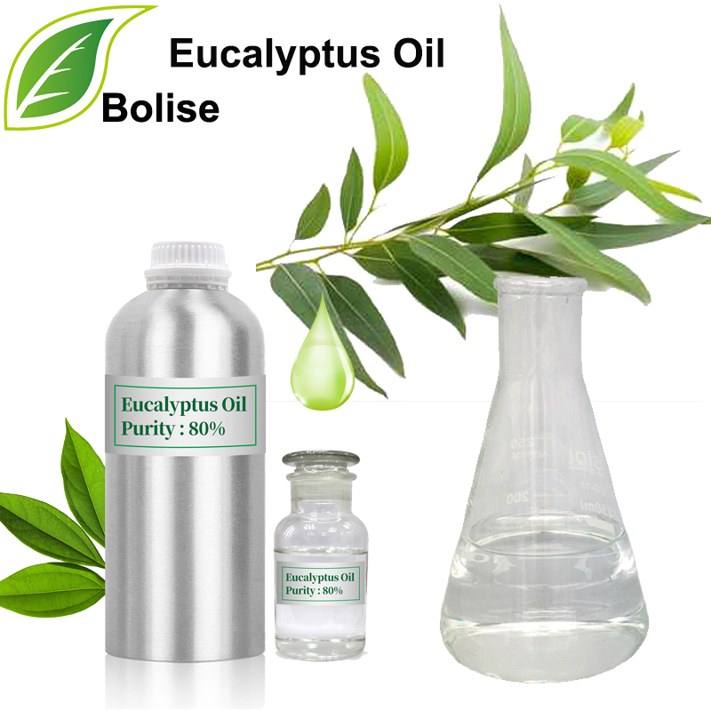 Eukalyptový olej (Oleum Eucalypti)