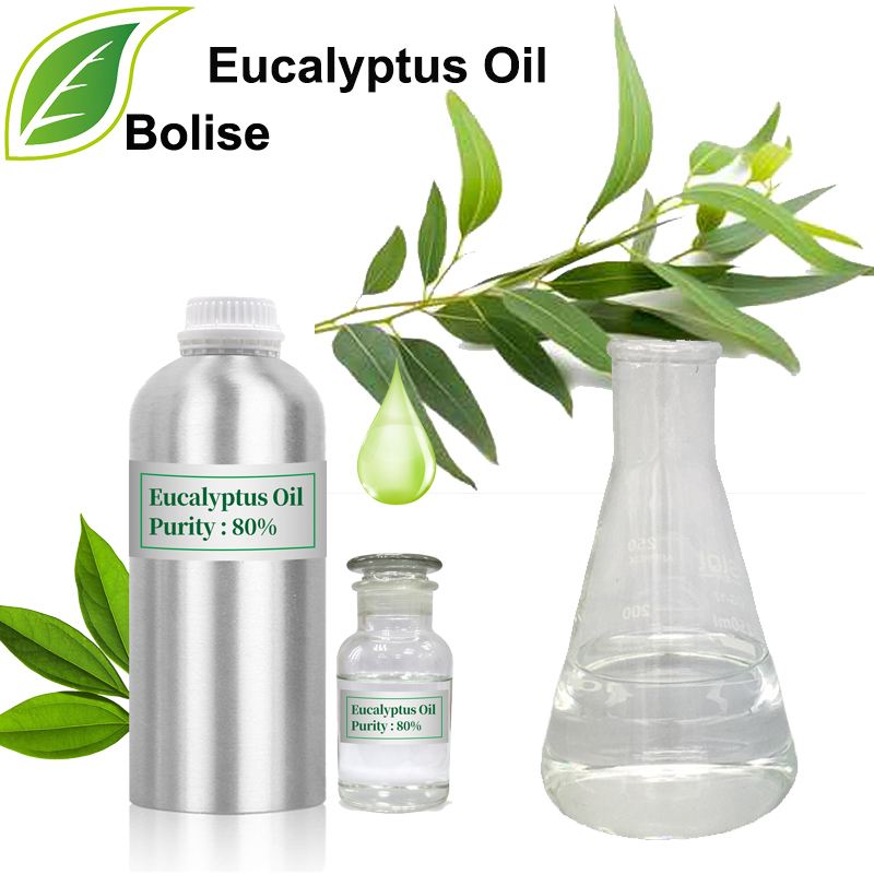 Eucalyptus Oil(Oleum Eucalypti)