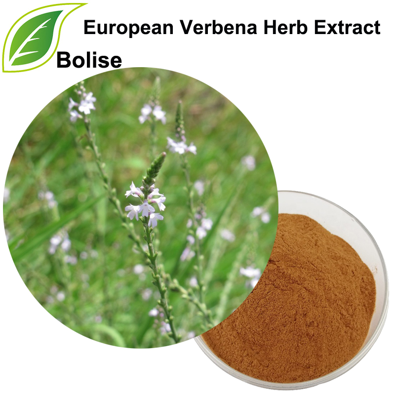 Extracto de hierba de verbena europea (extracto de Herba Verbenae)