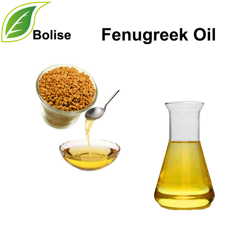 Minyak Fenugreek