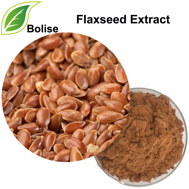 Detholiad Flaxseed