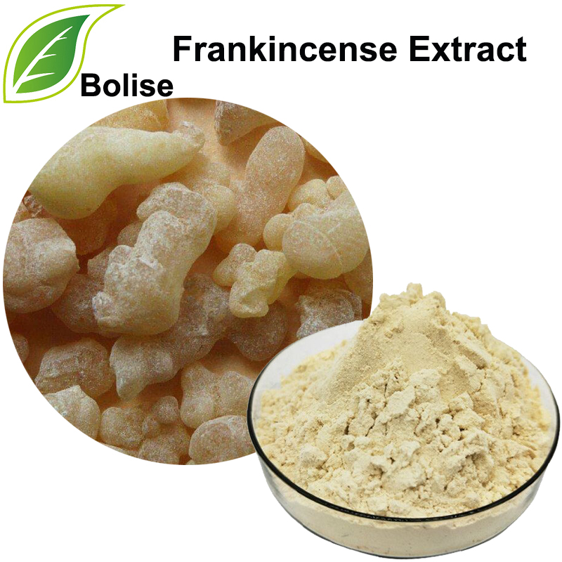Frankincense Extract (Olibanum Extract)