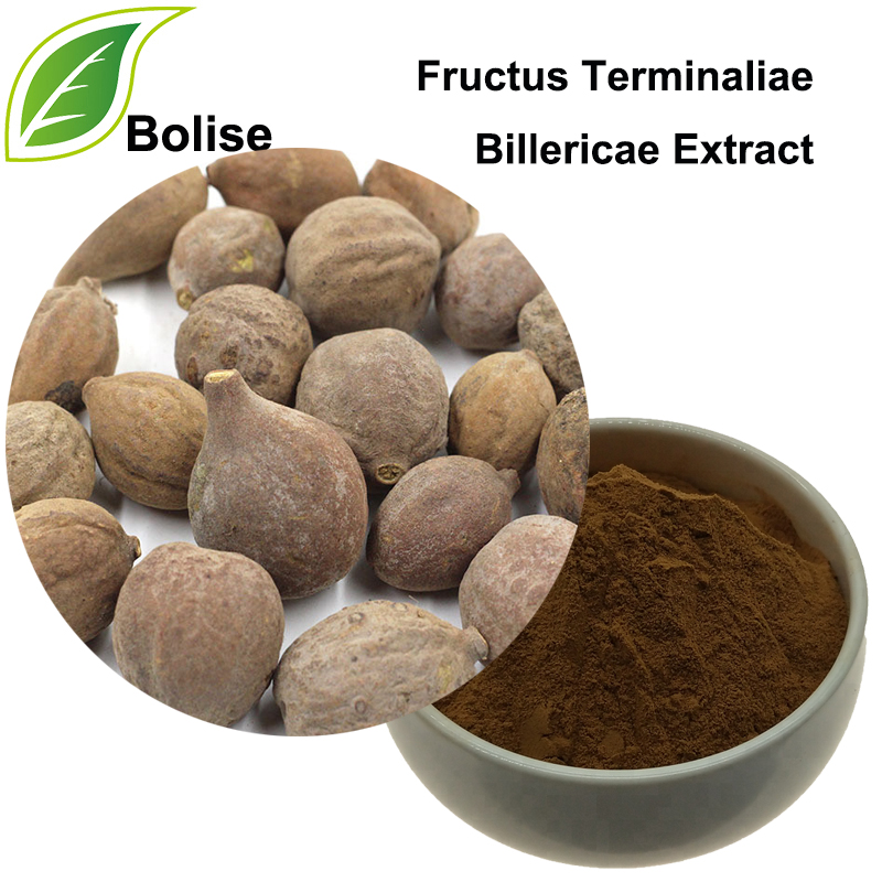 Extracto de froita Belleric Terminalia (Extracto de Fructus Terminaliae Billericae)