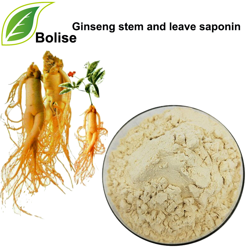 Ginseng sapı ve yaprak saponini (% 80)