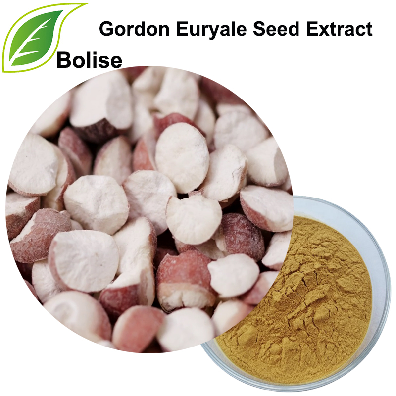 Gordon Euryale sēklu ekstrakts (spermas Euryales ekstrakts)