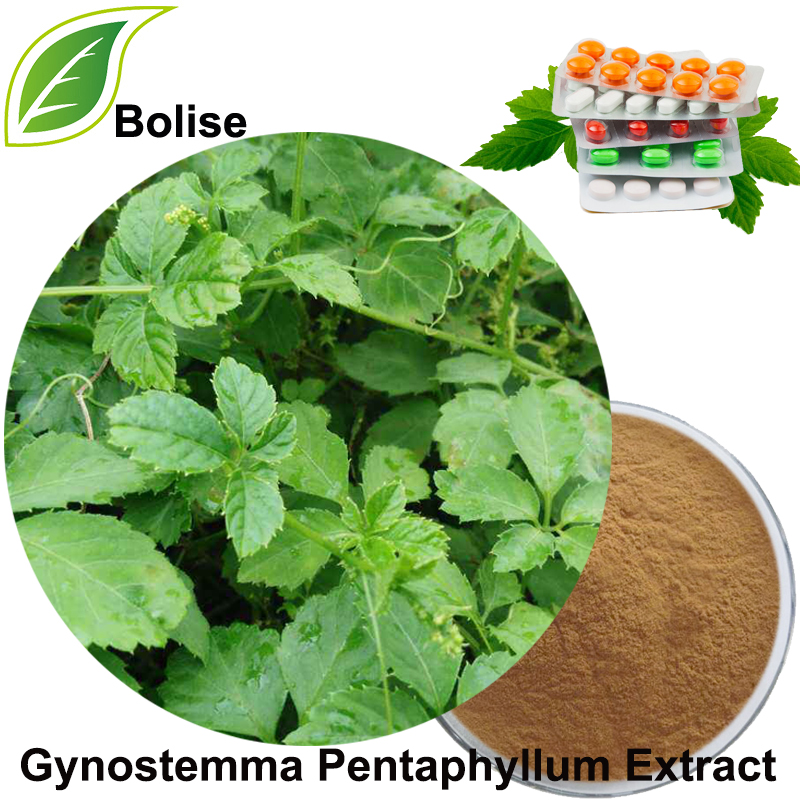 Gypenozidy (extrakt Gynostemma Pentaphyllum)