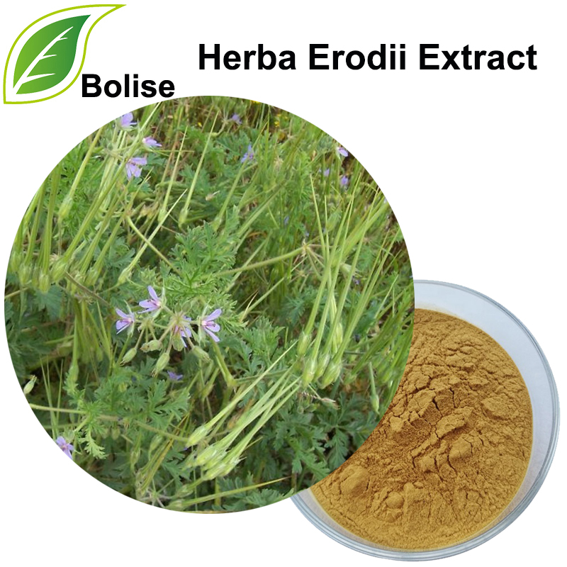 Extracto de Herba Erodii (Extracto de Herba Geranii)